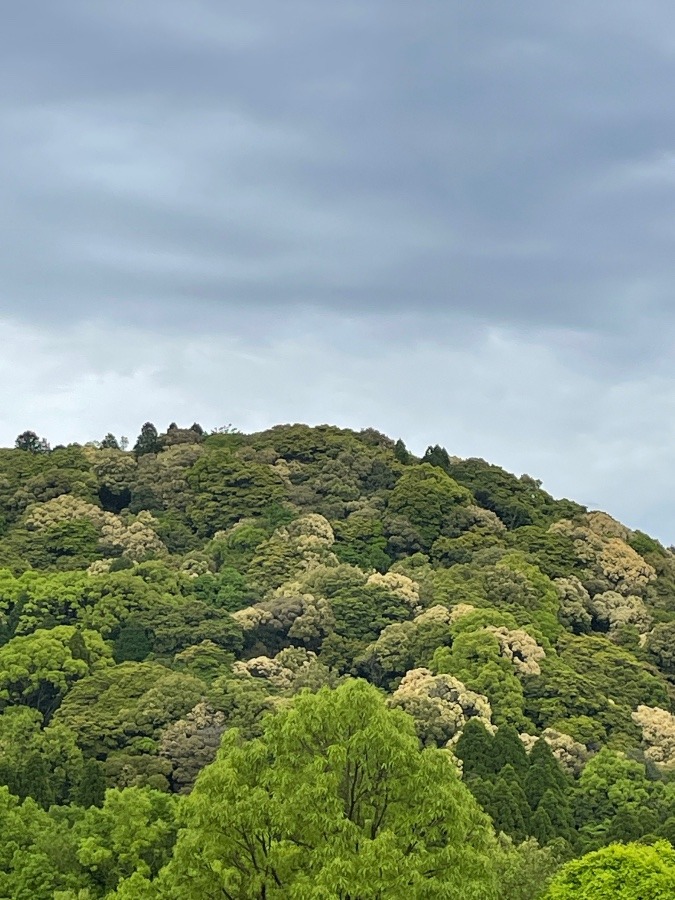 雨のち曇り