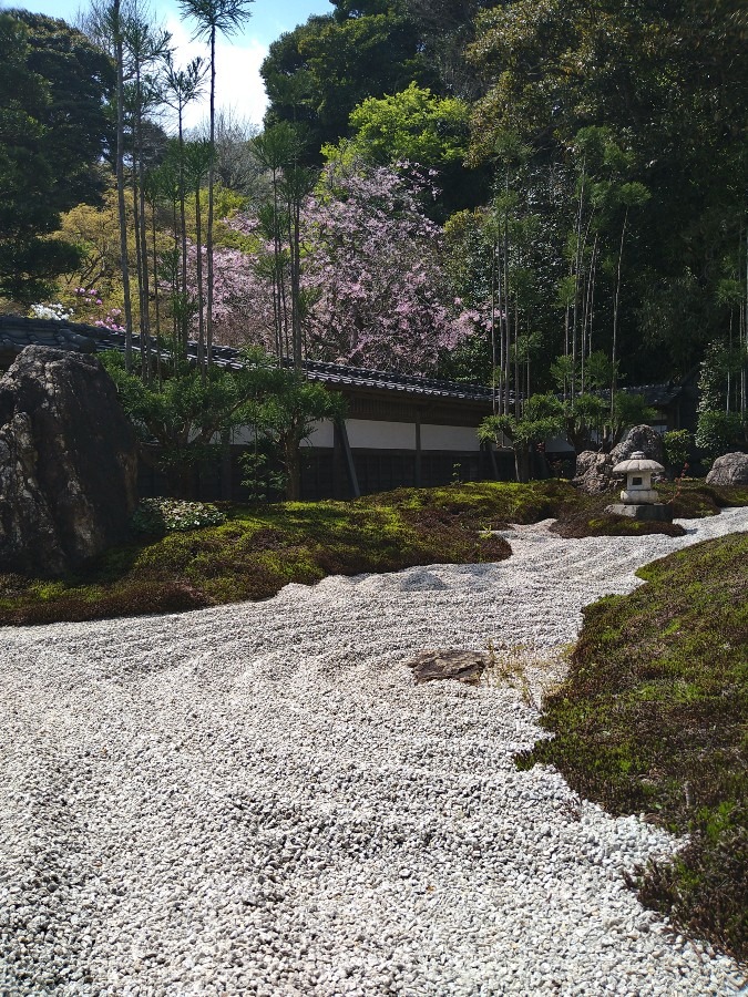 長谷寺の枯山水