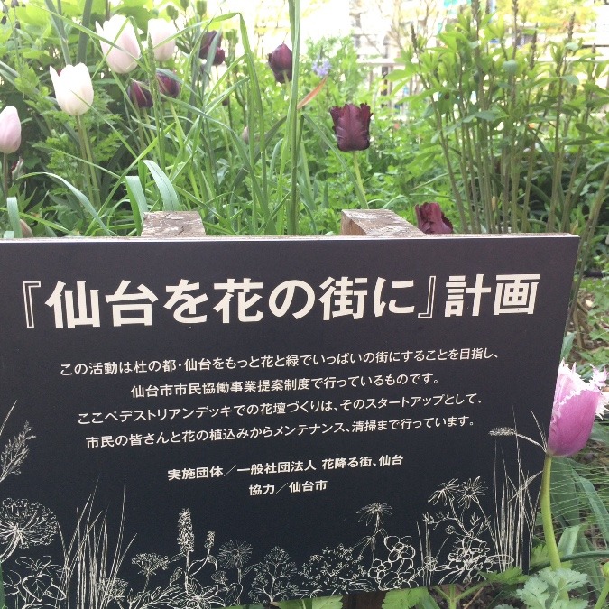 『仙台を花の街に』計画