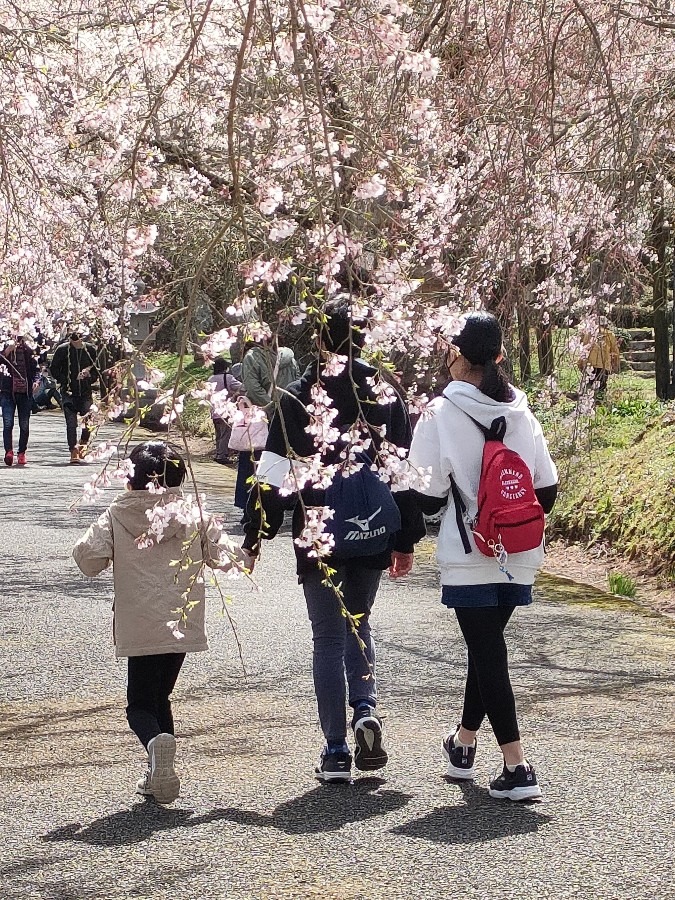 孫は仲良し❣️