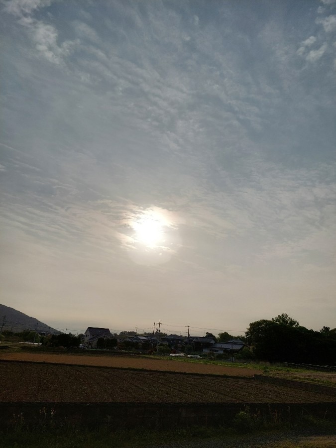 朝の空