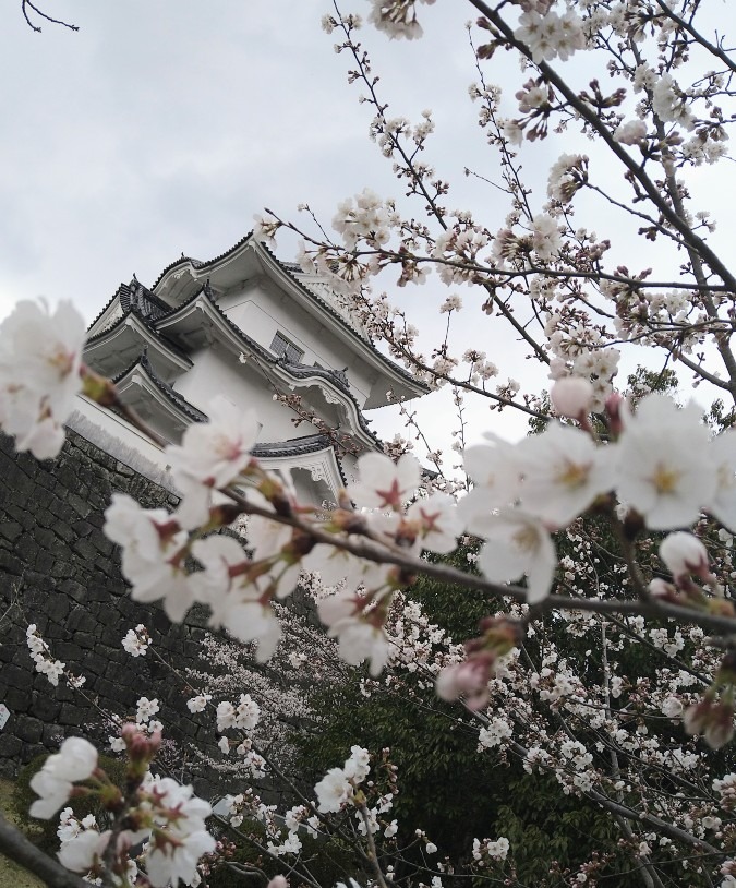 伊賀上野城🏯