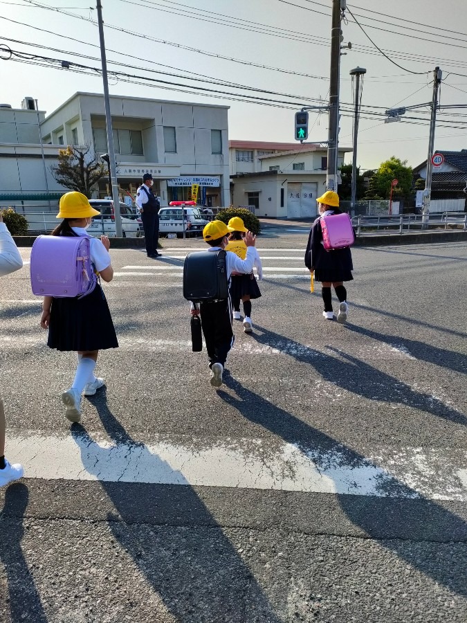 虫博士、ちゃんと手を上げてます😉
