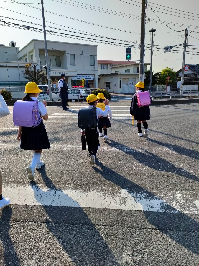 虫博士、ちゃんと手を上げてます😉