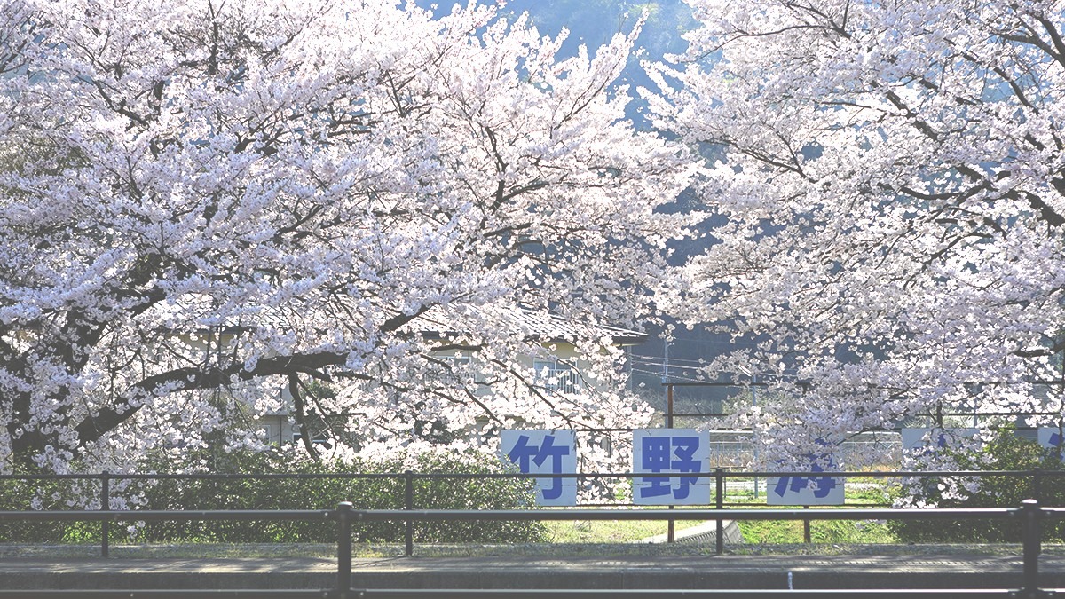 日差しの中で