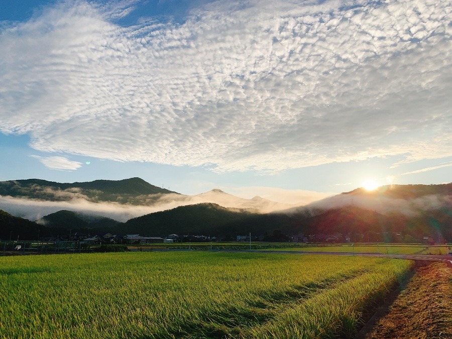 絶景！！加工なし！！