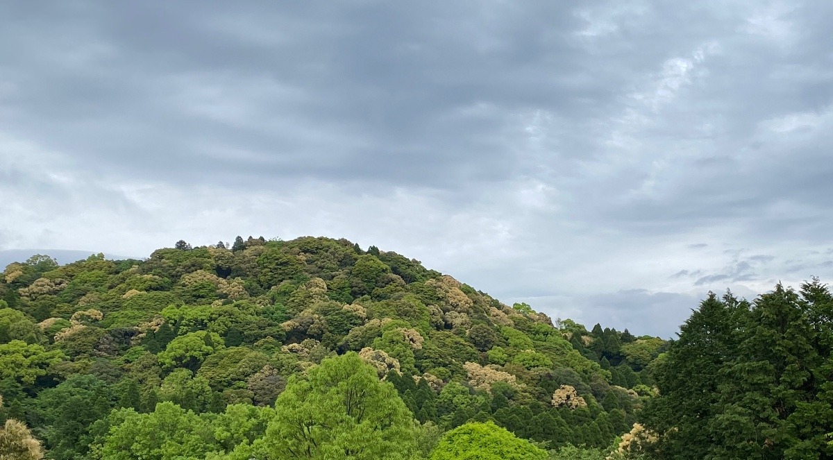 春の山