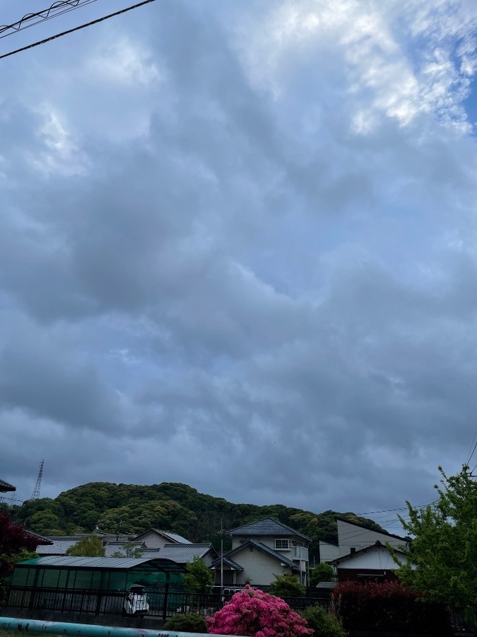散歩前の空✨