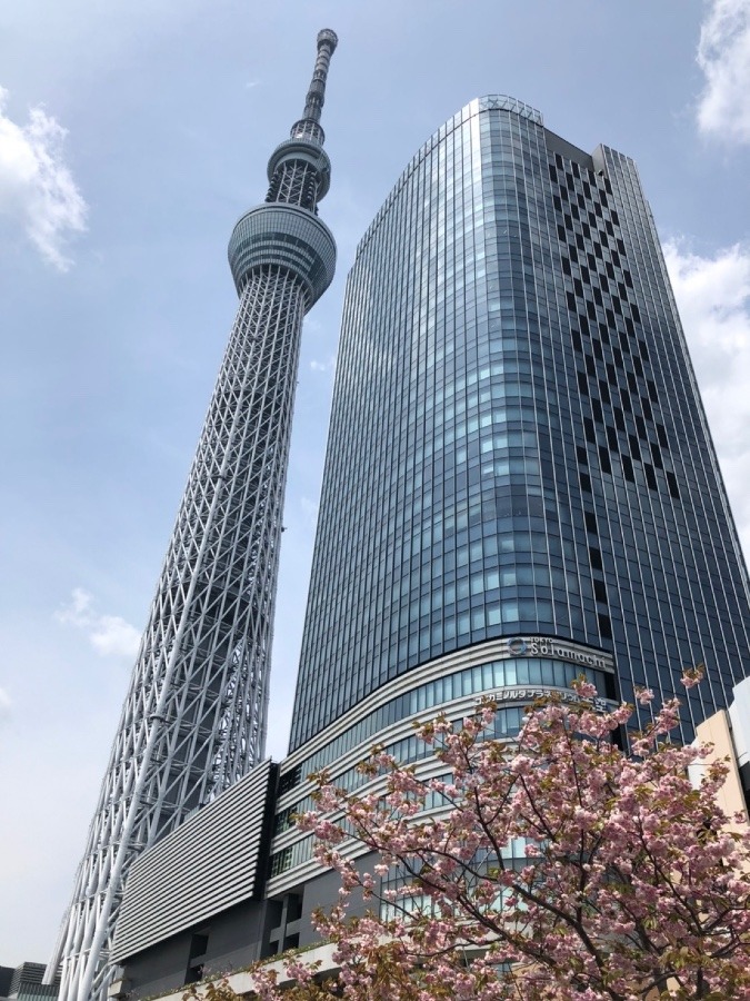 東京観光を楽しむ姉♪