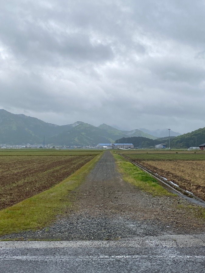 今朝そら‼️