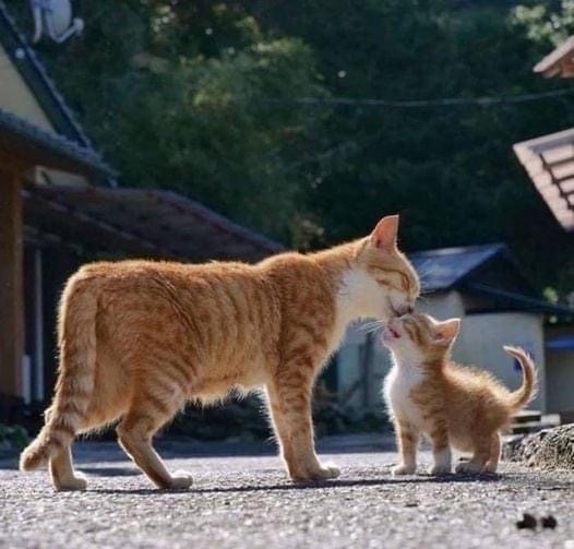 お父さん、おかえりぃ〜‼︎