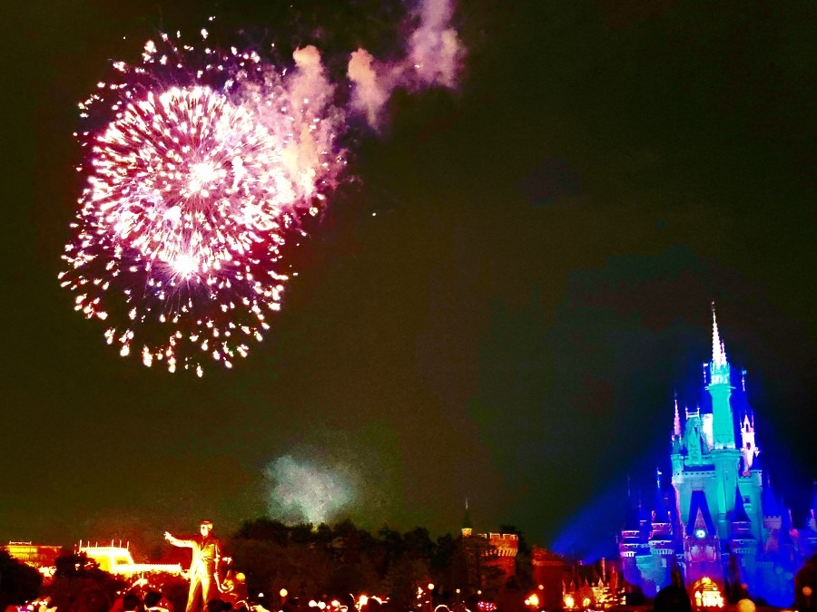 東京ディズニーランド