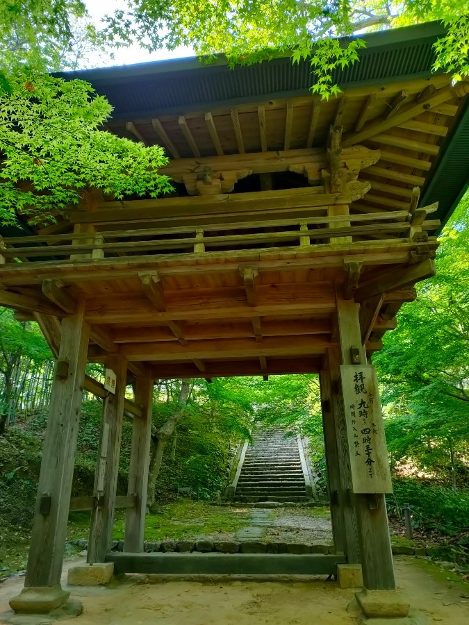 神社仏閣部発足します⛩️