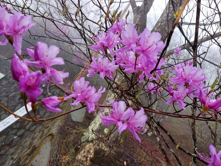 旅先で🌼