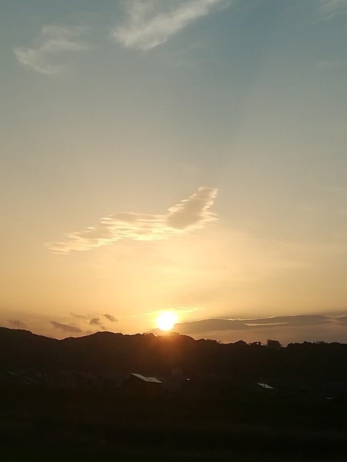 今朝の空