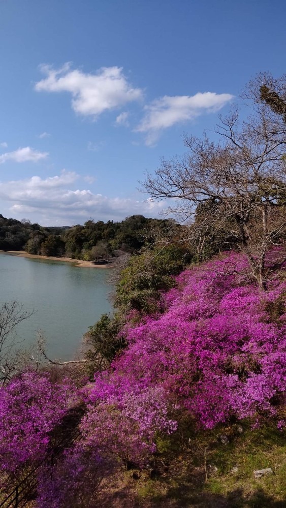 江汐公園＼(^-^)／