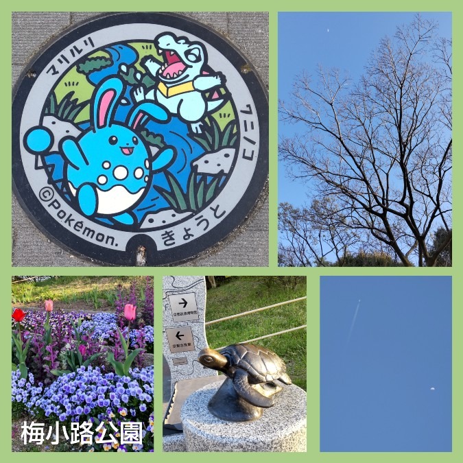 ポケふた・・in梅小路公園🤗