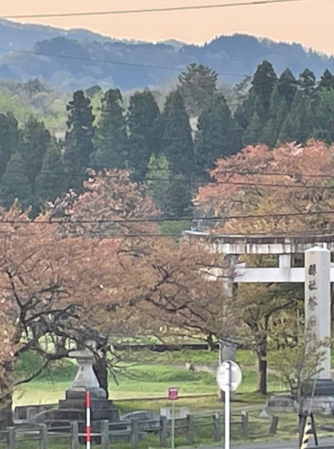 蒼柴あおしの森