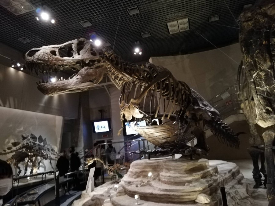 国立科学博物館の恐竜