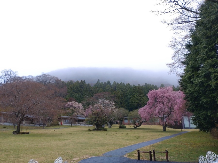 箱根　白龍神社の広場