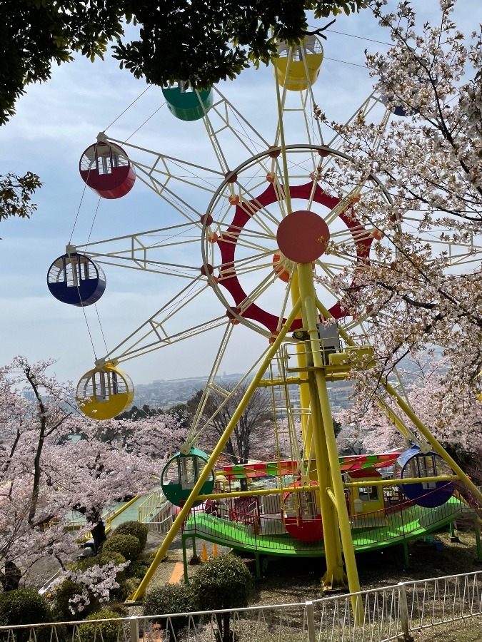 日立神峰公園