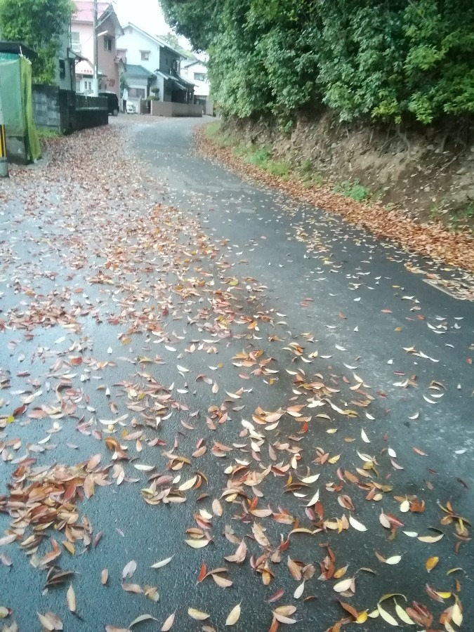 道
