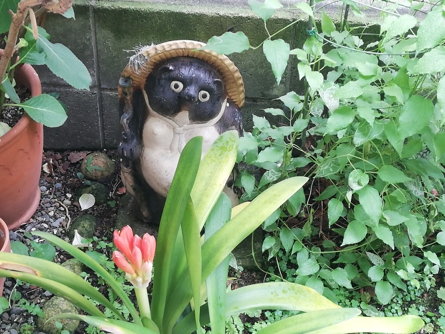 雨降り出しました☂️