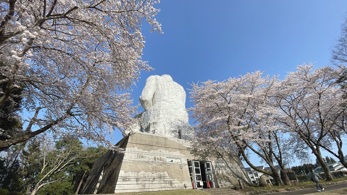 だいだらぼうと桜