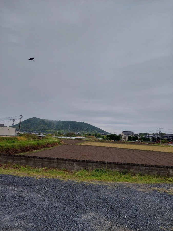 今朝の空☁️