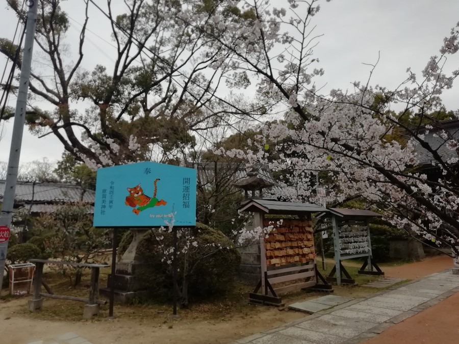 意賀美(おかみ)神社の桜