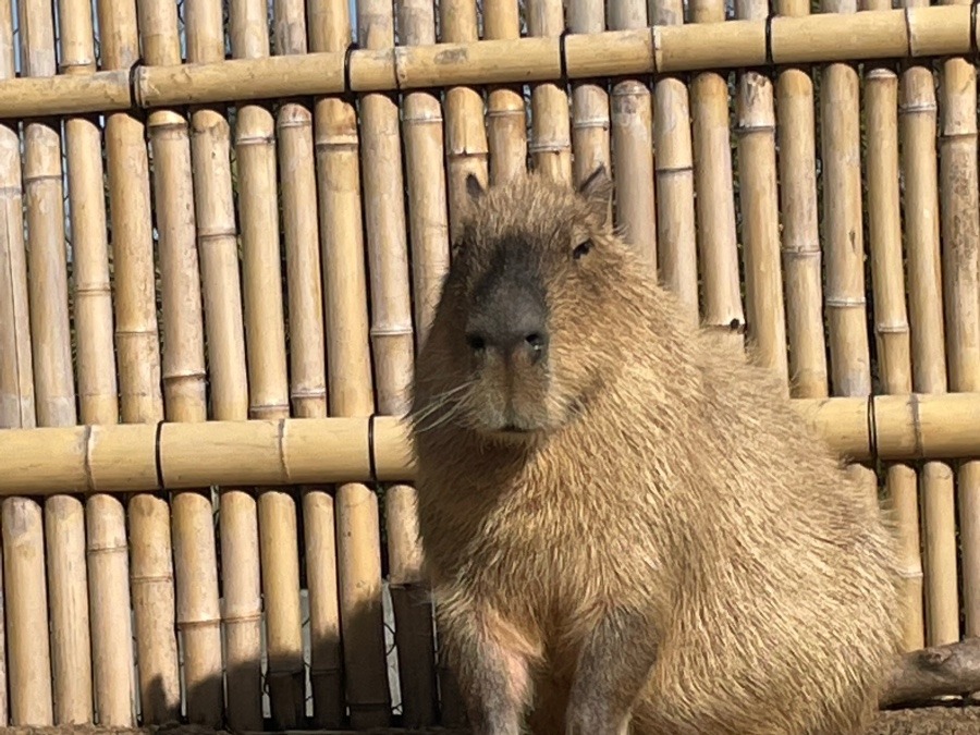 森三中です笑笑😆