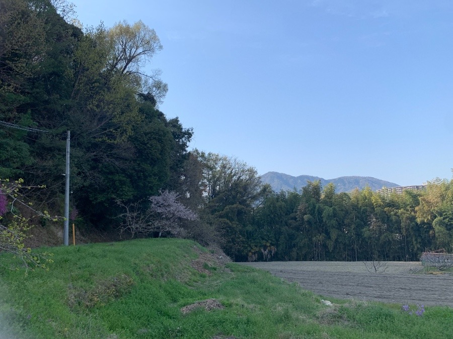 田舎の風景