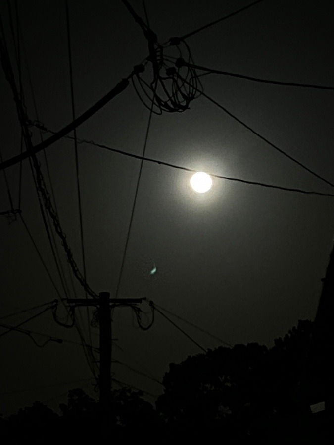 今日のお月様🌕