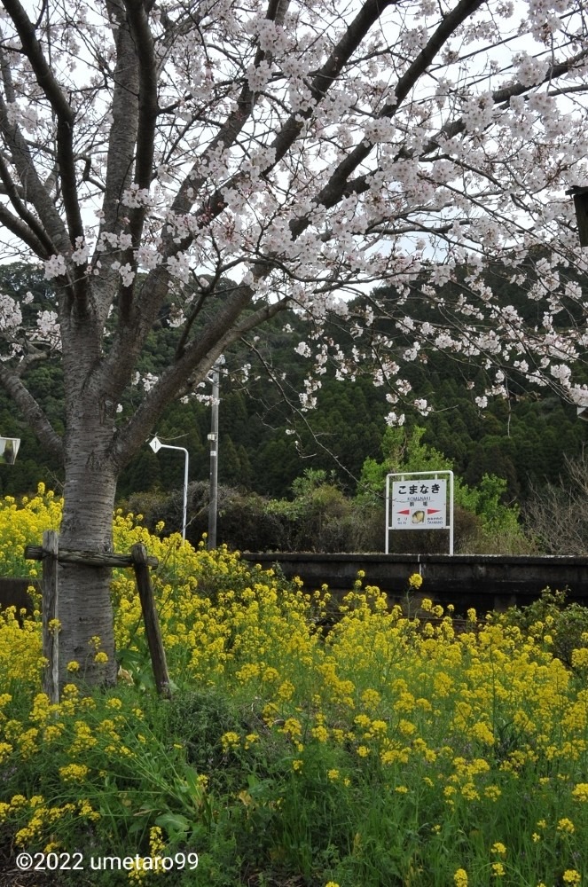 佐賀の風景「小さなローカル線の駅」