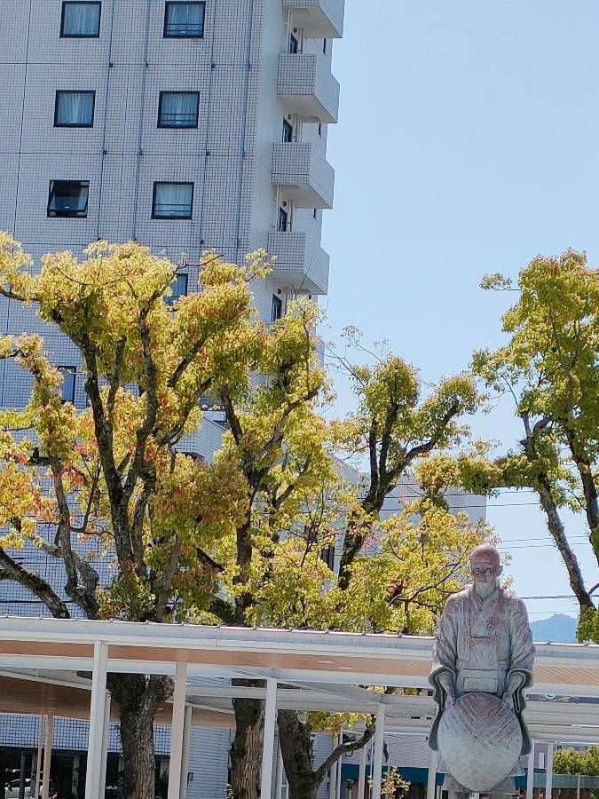 新緑が綺麗な季節🍀