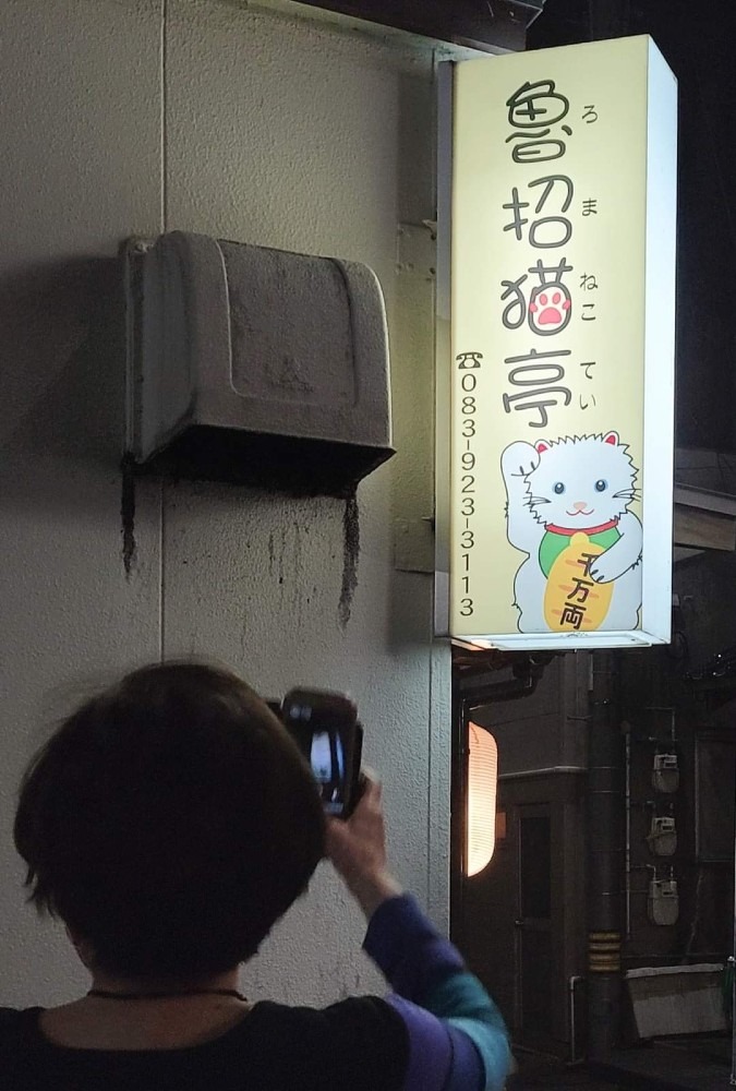 ねこちゃんがいる店