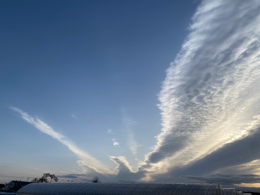 今朝の空②