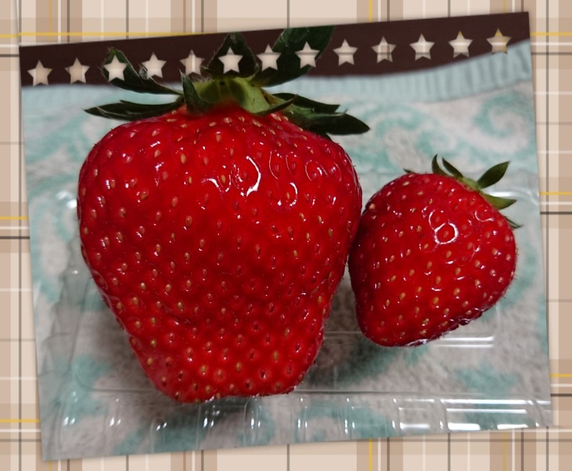 🍓( ‘-‘ 🍓 )ｲﾁｺﾞﾁｬﾝ