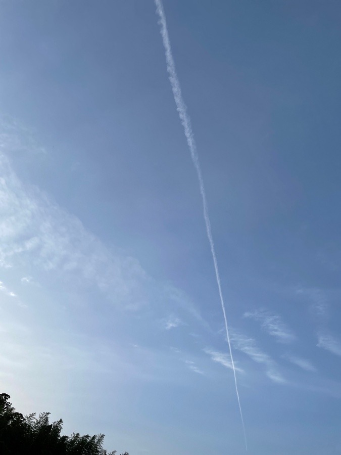 真上に飛行機雲が✈️