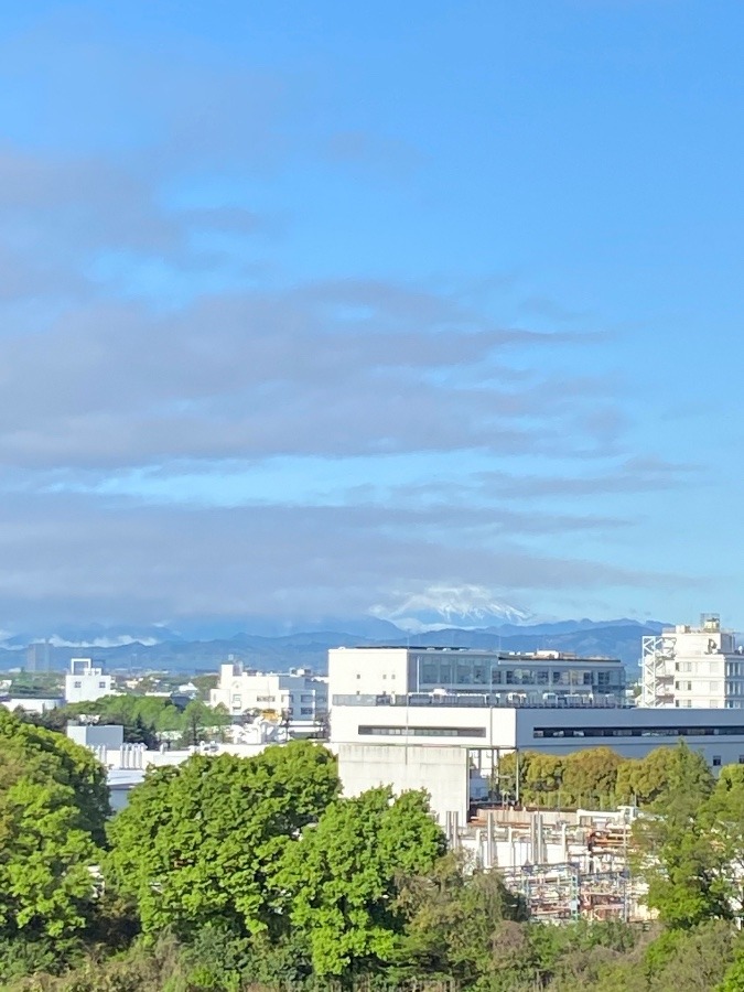 今朝の富士山