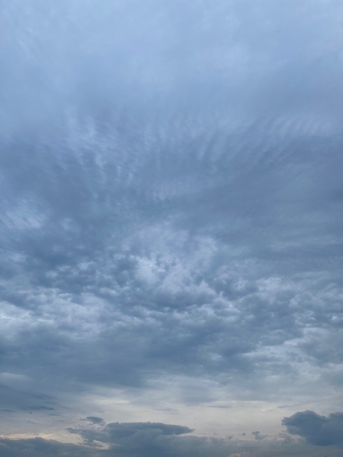 2022/4/23 朝の空