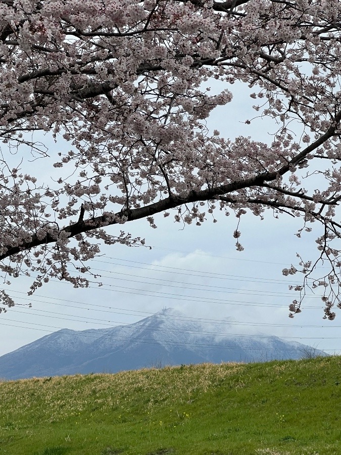 今朝の筑波山