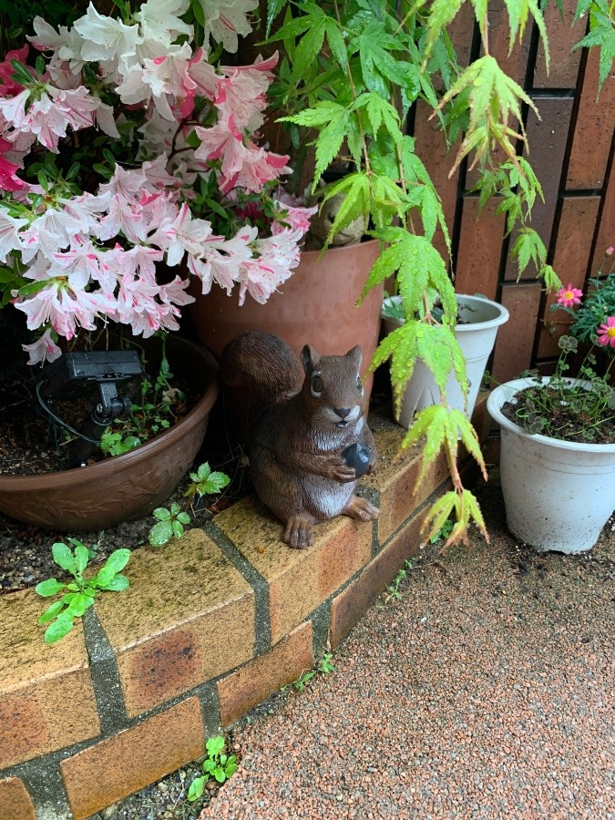 雨に打たれて…
