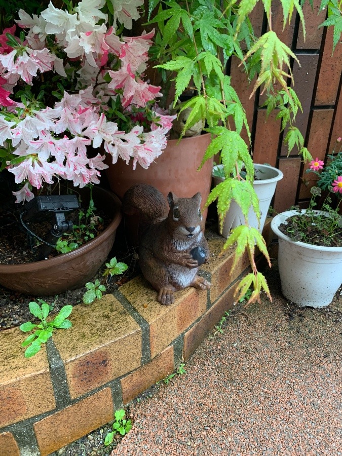 雨に打たれて…