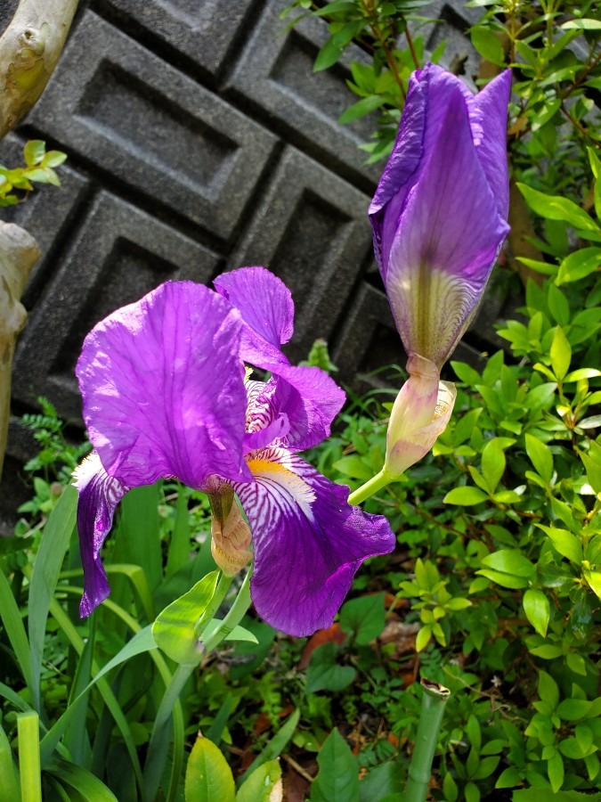 今日は雨