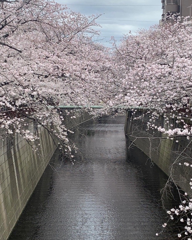 ⭐️新月の進学期⭐️