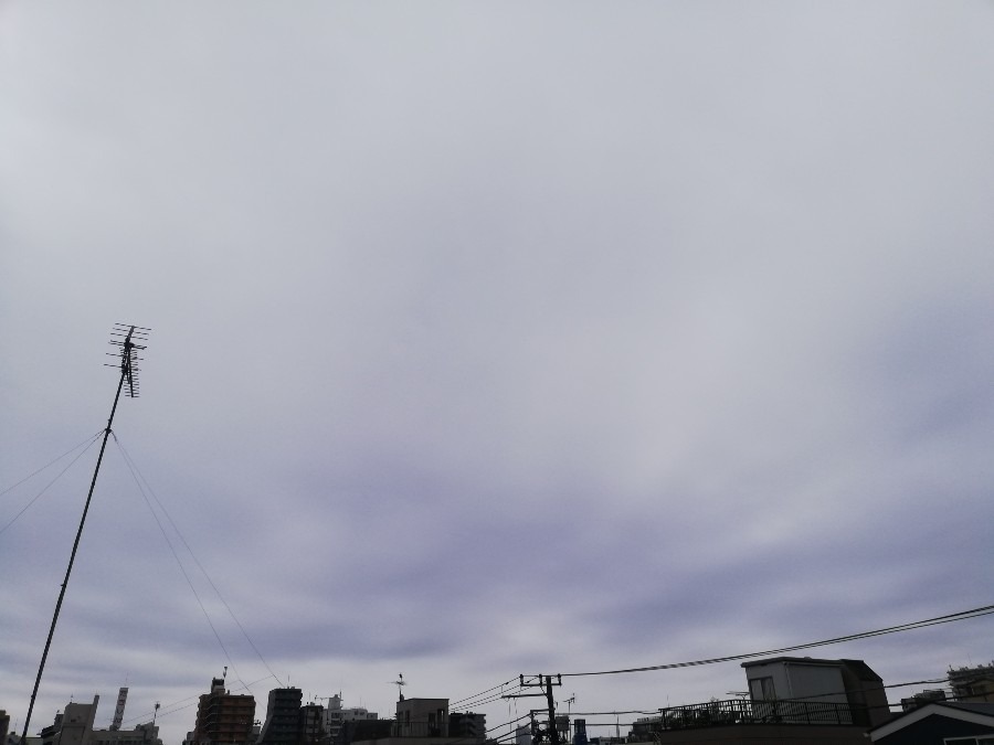 あつい雲で覆われてます☁️☁️