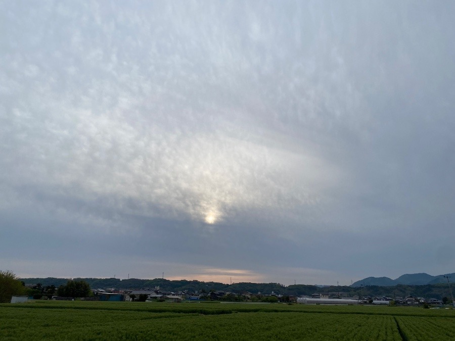 今朝の空