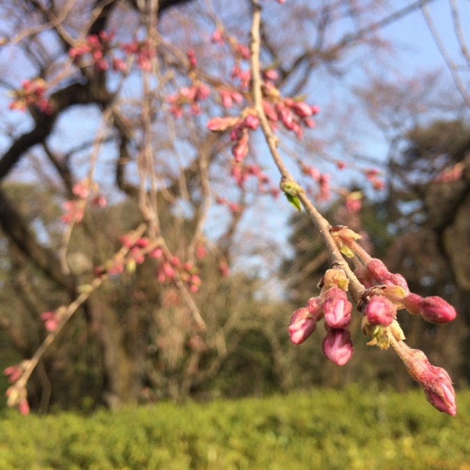 きっと明日には