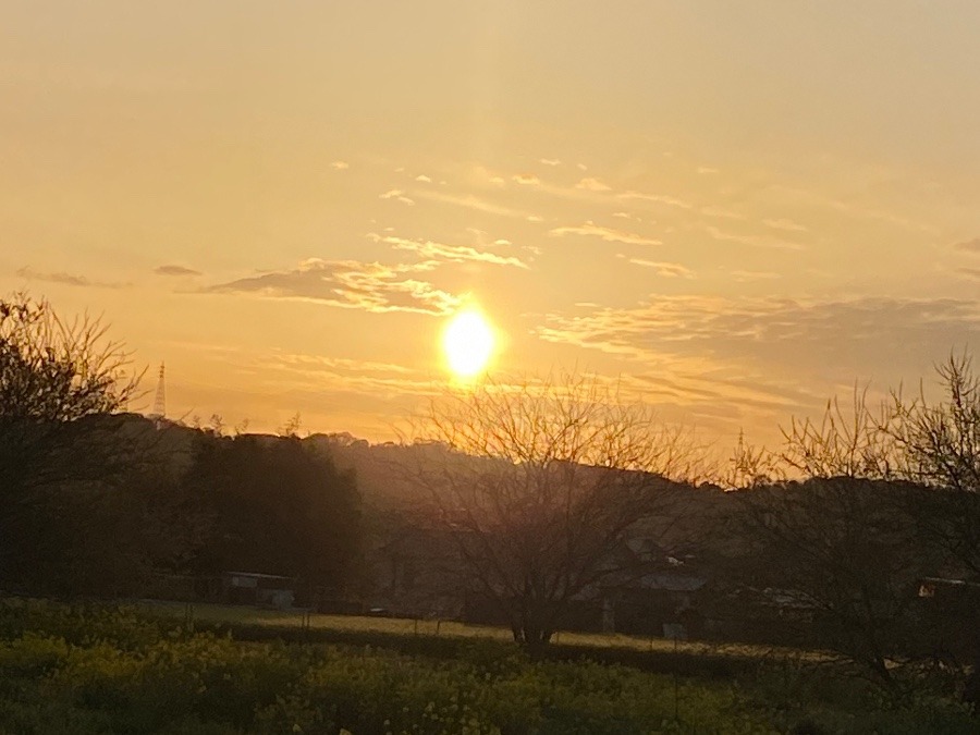 今朝の空♡